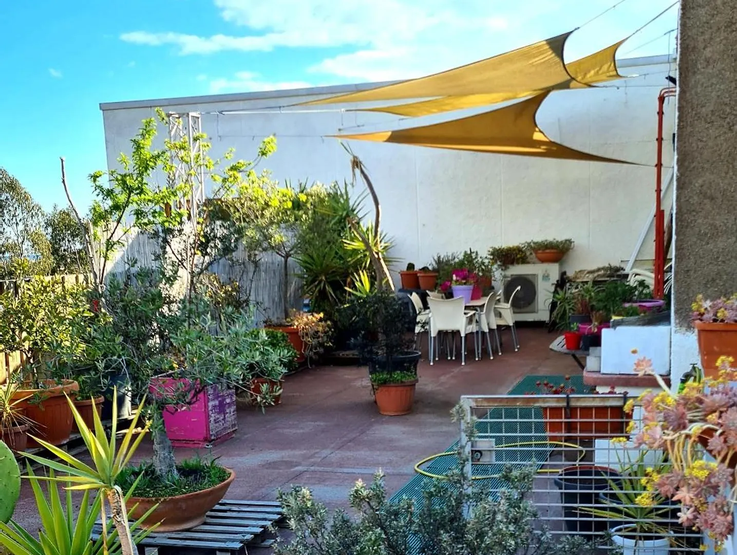 Spazio-Confort-Fitness Piombino Apartment