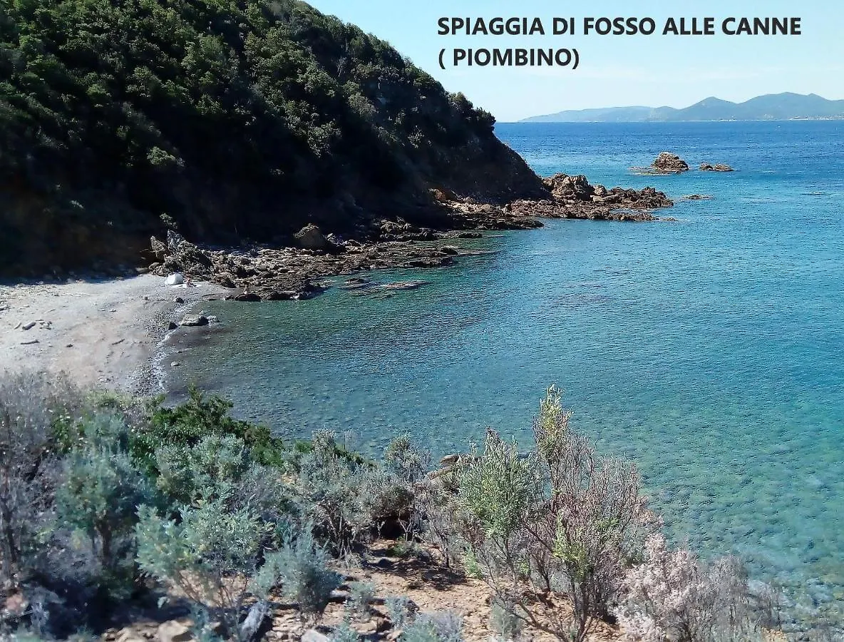 Spazio-Confort-Fitness Piombino