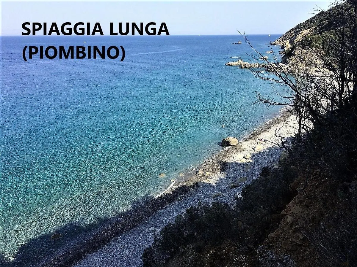 Spazio-Confort-Fitness Piombino