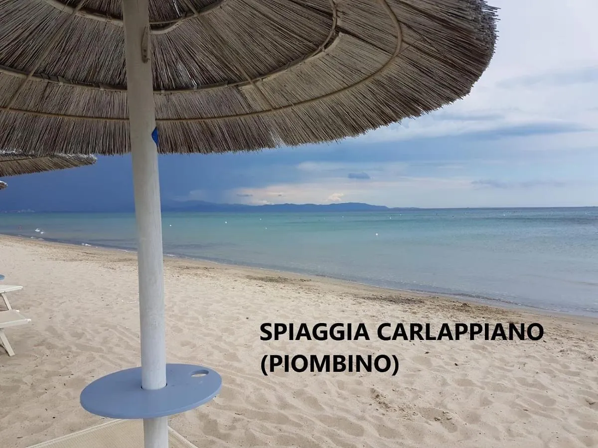 Spazio-Confort-Fitness Piombino 0*,